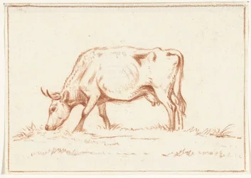 Vaca de pasto, à esquerda