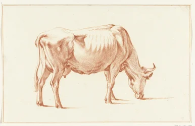 Vaca de pasto, à direita