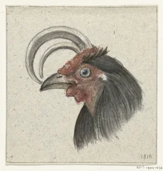 Cabeça de um galo