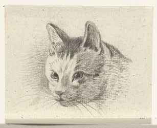 Cabeça de um gato