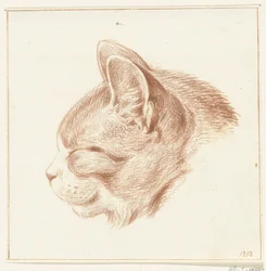 Cabeça de um gato, à esquerda
