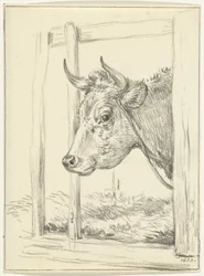 Cabeça de vaca, em um estábulo, à esquerda