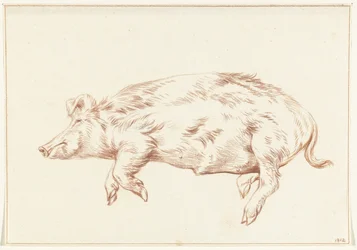 Porco mentiroso, à esquerda