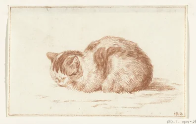 Gato reclinado, esquerda