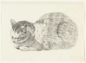 Gato deitado, à esquerda