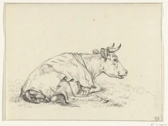 Vaca reclinada, para a direita