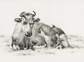 Vaca Deitada (1825)