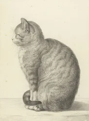 Gato sentado, para a esquerda. 1815