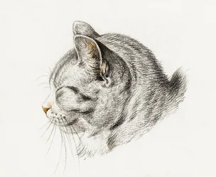 Esboço de um gato (1813)