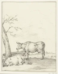 Vaca em pé e deitada
