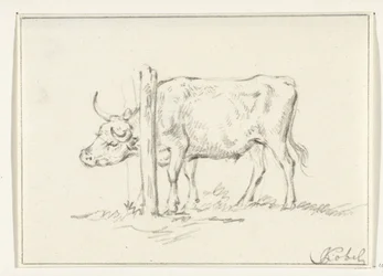 Vaca em pé, com a cabeça entre os postes
