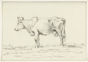 Vaca em pé, à esquerda