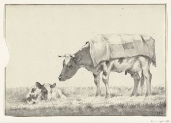 Vaca em pé, à esquerda, com bezerro deitado