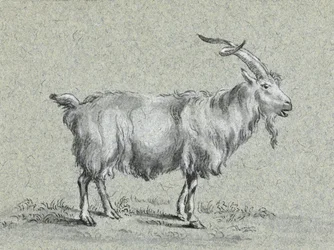 Cabra em pé, de Jean Bernard
