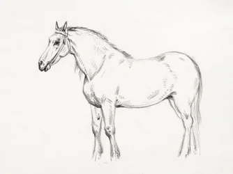 Cavalo em pé (1818)
