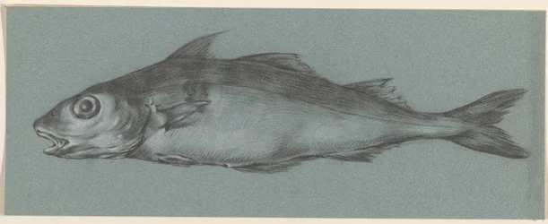 Peixes, à esquerda