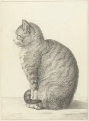 Gato sentado, virado para a esquerda