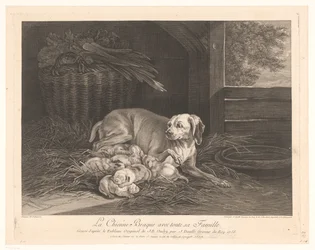 Cão de travão com crias num estábulo
La Chienne Braque avec toute sa Famille. (título sobre o objecto)