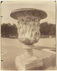 Versailles, Vaso