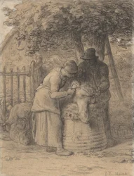 Sheepshearing debaixo de uma árvore, c.1854 (conté crayon com caneta e tinta marrom e guache sobre papel)