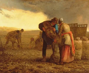 A colheita da batata, 1855