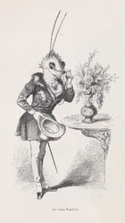 Uma Borboleta Velha de Cenas da Vida Privada e Pública dos Animais, c. 1837-47.