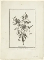 Buquê de anêmona e trepadeira Anêmonas simples, Volubilis (título no objeto) IIe Cahier de Bouquets (título da série)
