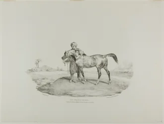 Um Cavalo Árabe, placa 8 de Vários Objectos Desenhados da Vida e em Pedra (A Suite Inglesa)