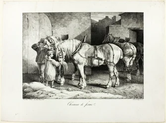 Cavalos de quinta