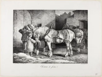 Cavalos de quinta