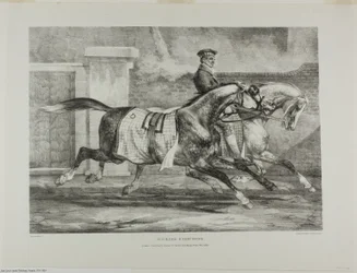 Horses Exercising, plate 6 from Various Subjects Drawn from Life and on Stone (The English Suite)