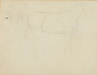 Esboço de um cavalo virado para a direita e uma caricatura de perfil