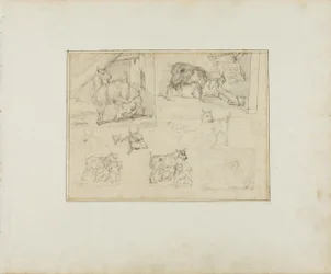 Esboços de cabras