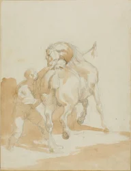 Cavalariço a tratar de um cavalo