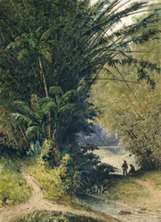 Um bosque de bambu em Trinidad