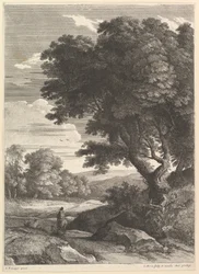 O Cavalier.
