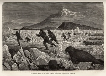 Parte da tripulação do navio La Germania, nas Ilhas Clavering, descendo no gelo para caçar, foram caçados por morsas que saíam da água, gravadas após o desenho de J.Moynet, ilustrando uma viagem ao Pólo Norte em 1869-1870 por