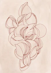 Curvas elegantes e fluidas