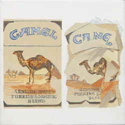 Maços de cigarros Camel