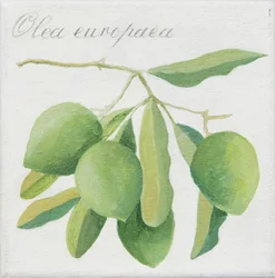 Azeitonas verdes (acrílico)