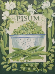Pisum, Ervilhas (acrílico)