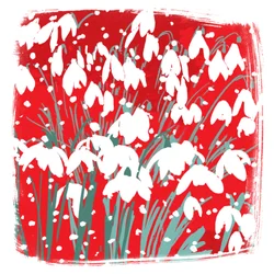 Gotas de neve
