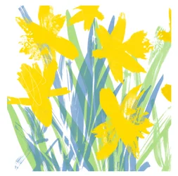 Daffodils de Primavera