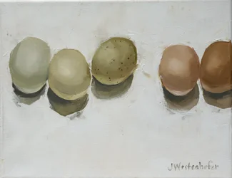 Os Ovos da Brittany