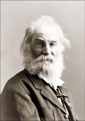Retrato de Walt Whitman (1819 - 1892) por Gurney entre 1880 e 1890.
