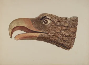 Águia