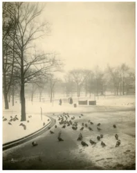 Boston Common, Boston, EUA, c.1902-10