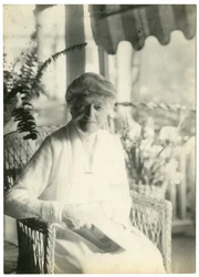 Sra. L D James de Williamsburg Massachusetts, irmã de Marshall Field, c.1905-28 (foto em prata gelatina)
