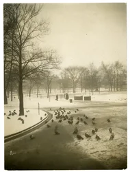Frio incomum no Common, Boston, EUA, c.1902-10 (foto gelatina prateada)