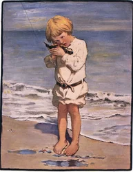 A descoberta de Billy boys foi uma gaivota, com uma asa ferida (lito colorido)